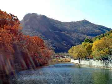 新澳天天开奖资料大全旅游团，乐清seo排名